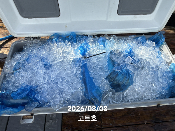 TC_08104.jpeg