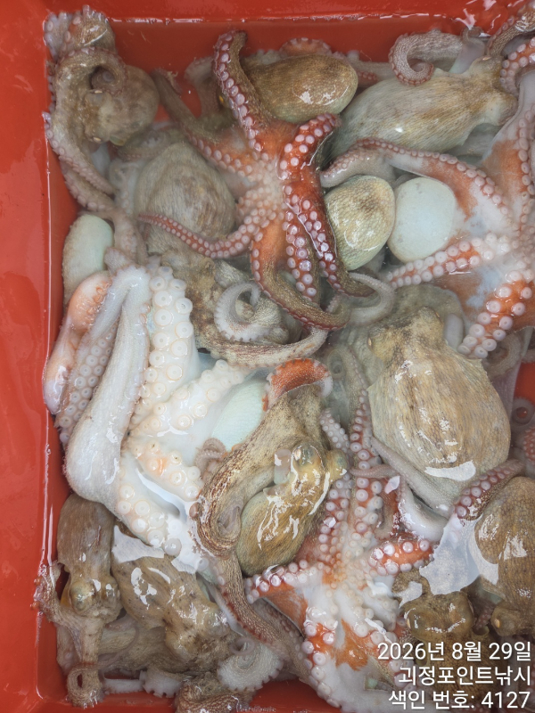 KakaoTalk_20260829_151018614_06.jpg