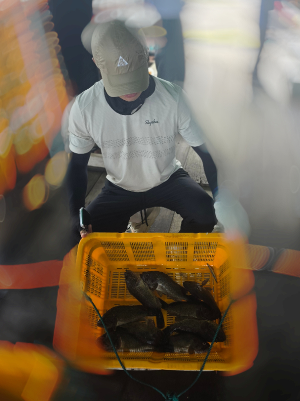 76590.jpg