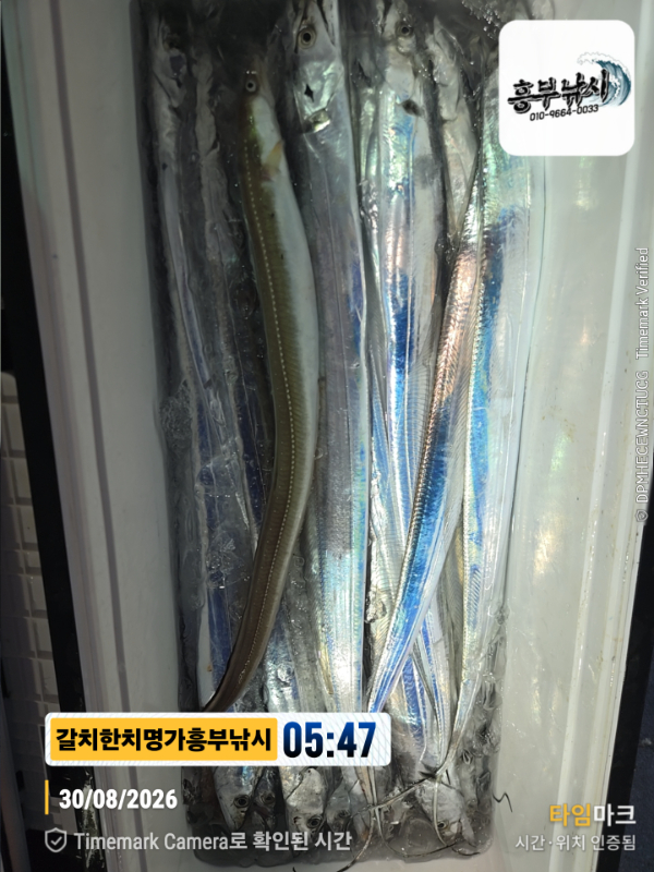 2026-08-30 05.47.11__(제목-갈치한치명가흥부낚시).jpg
