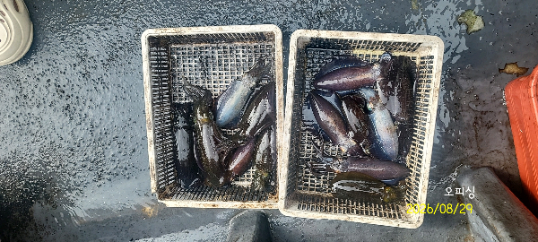 DateCamera0829084759.jpg