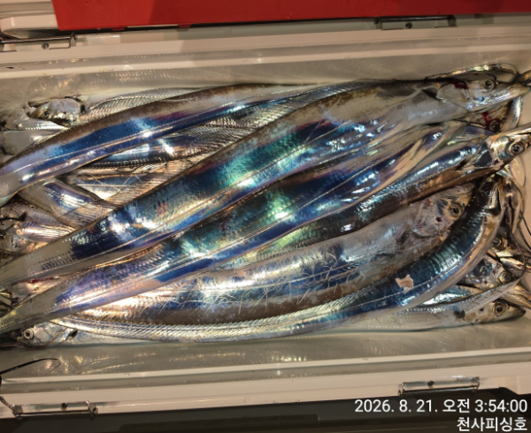 1004피싱_사진_20260821_3.jpg