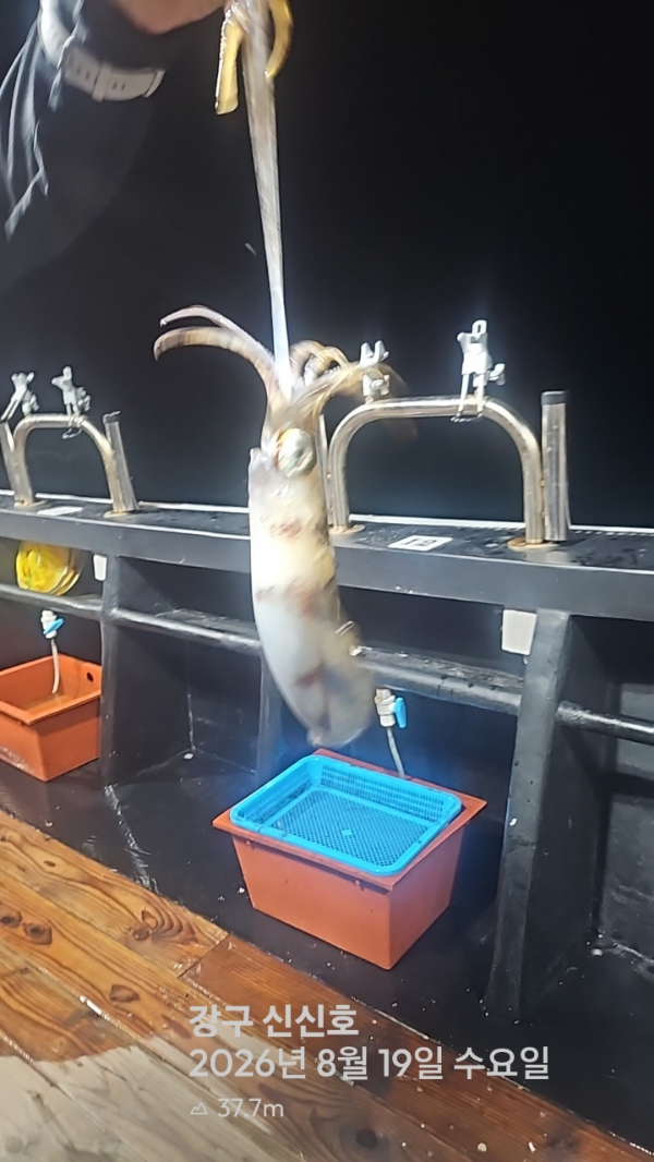신신낚시 강구점 신신호_사진_20260820_10.jpg