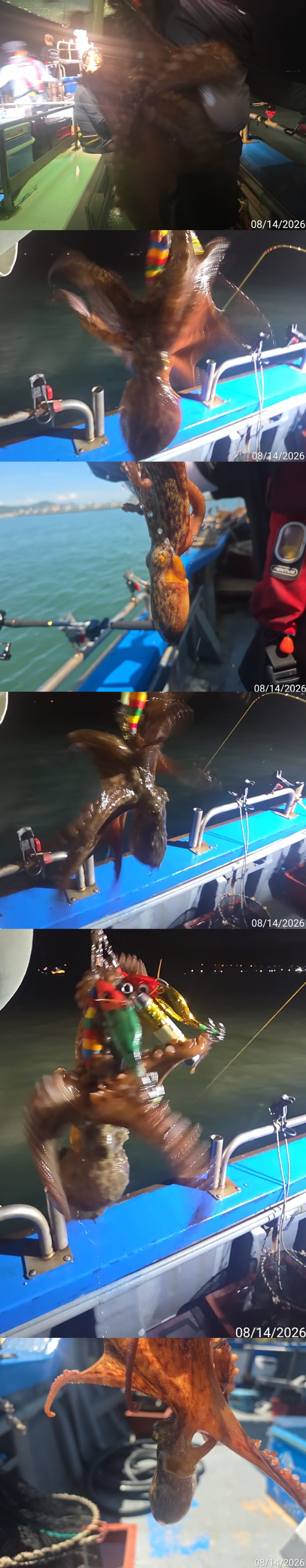 1786747512072-vert.jpg