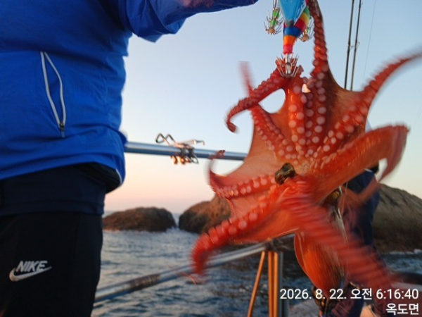 KakaoTalk_20260822_141116296_11.jpg