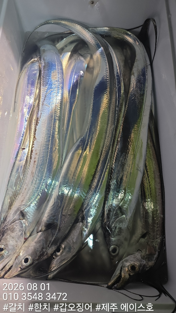 KakaoTalk_20260801_140659266_05.jpg