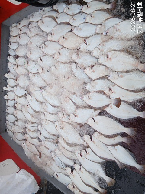 KakaoTalk_20260821_152404820_14.jpg