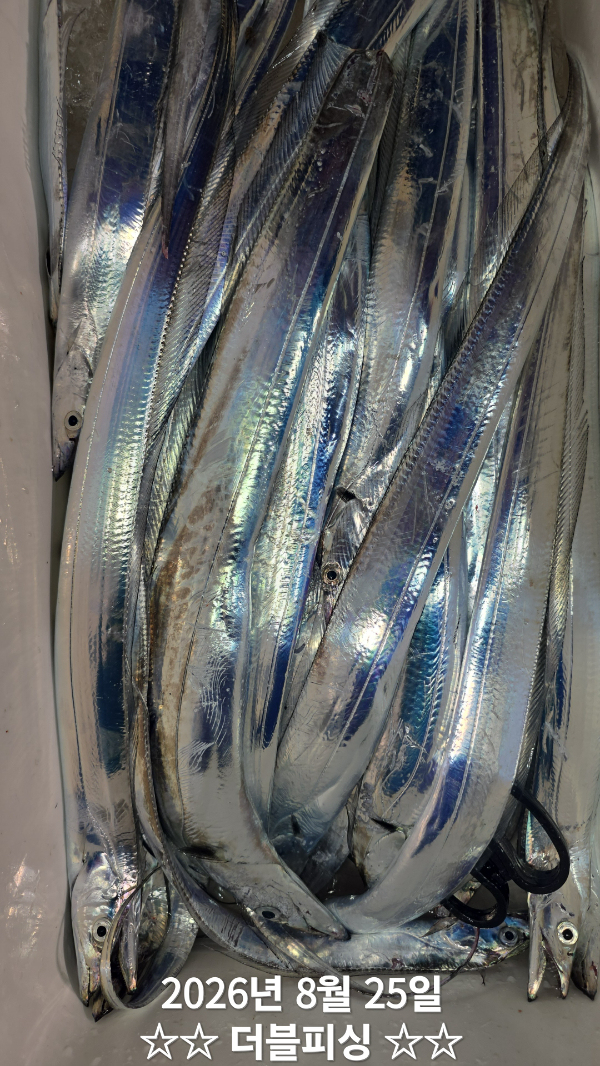 47865.jpg