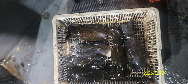 DateCamera0829233016.jpg