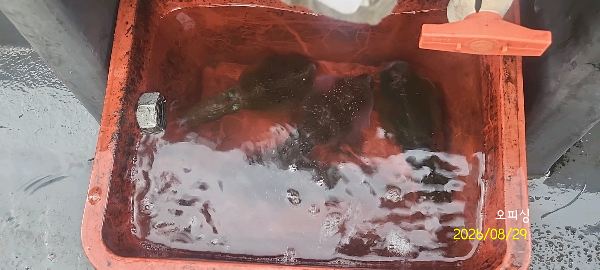 DateCamera0829084920.jpg
