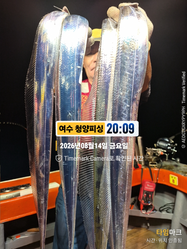 2026-08-14 20.09.53__(제목-여수 청양피싱).jpg