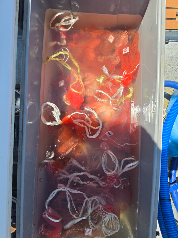20260802_120113.jpg