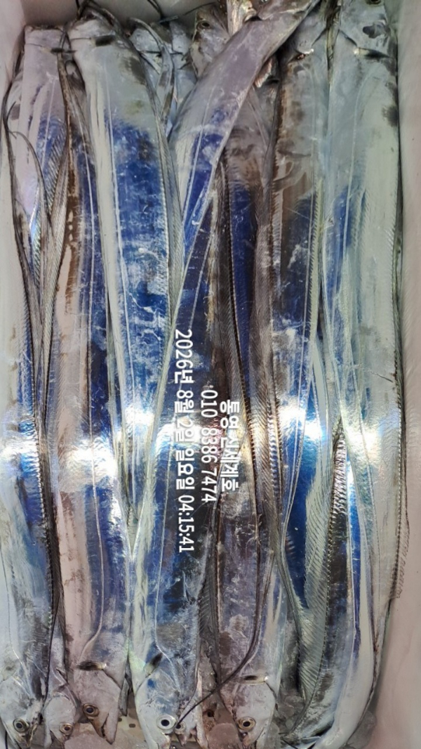 1785619196000.jpg