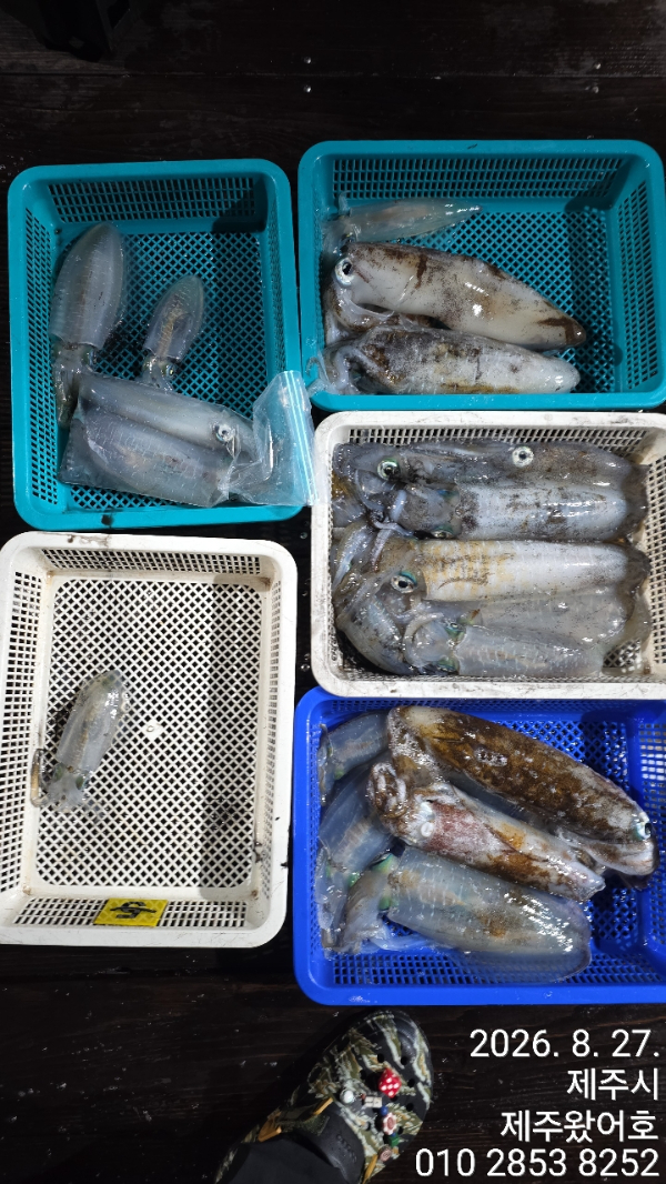 제주왔어호_사진_20260829_24.jpg