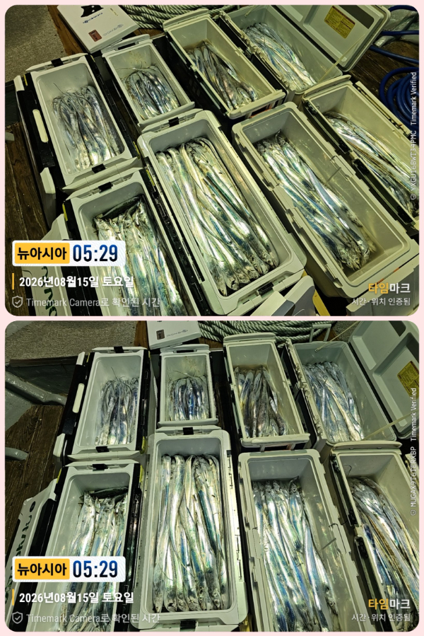 KakaoTalk_20260817_195122936_02-down.jpg