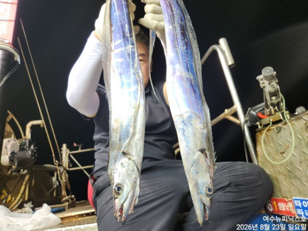 8월23일갈치 (19).jpg