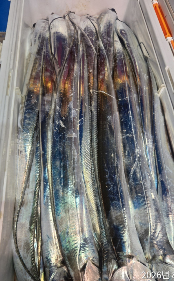 6749.jpg