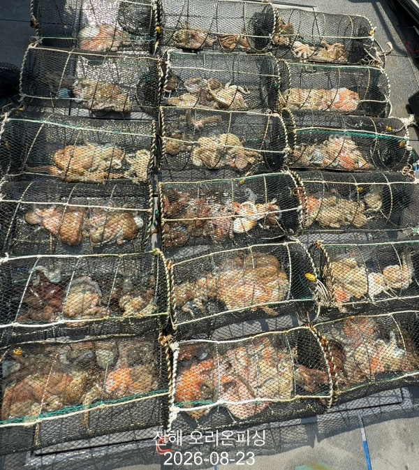 KakaoTalk_20260824_010452979_13.jpg