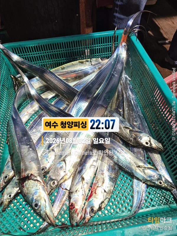 2026-08-02 22.07.28__(제목-여수 청양피싱).jpg