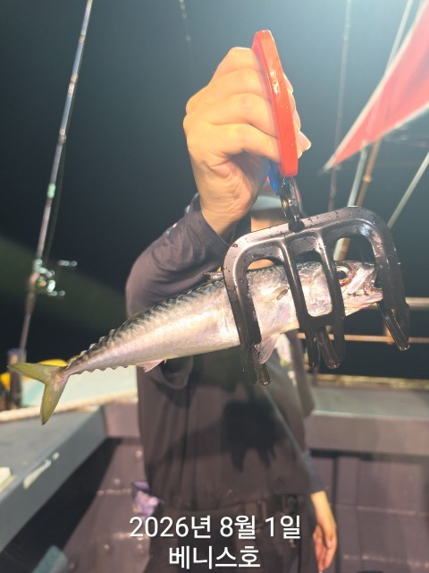 KakaoTalk_20260801_024443963_08.jpg