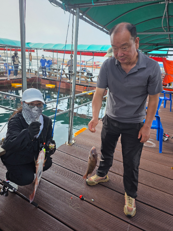 76568.jpg