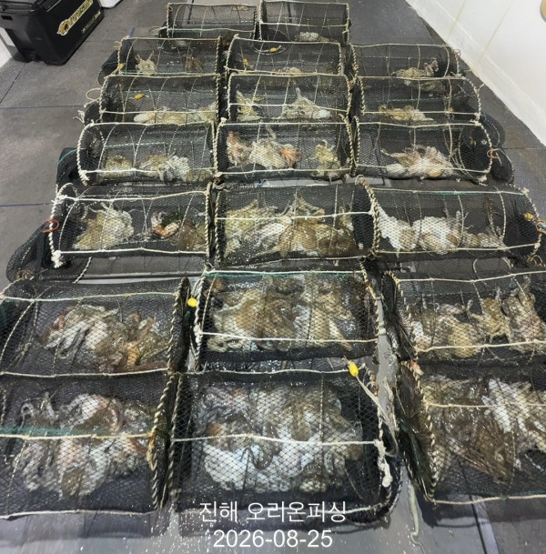 KakaoTalk_20260825_021622788_12.jpg