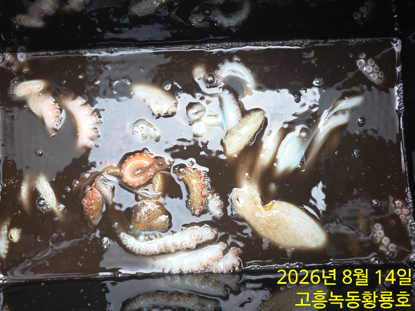 1000023722.jpg