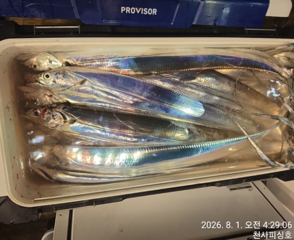 1004피싱_사진_20260801_12.jpg