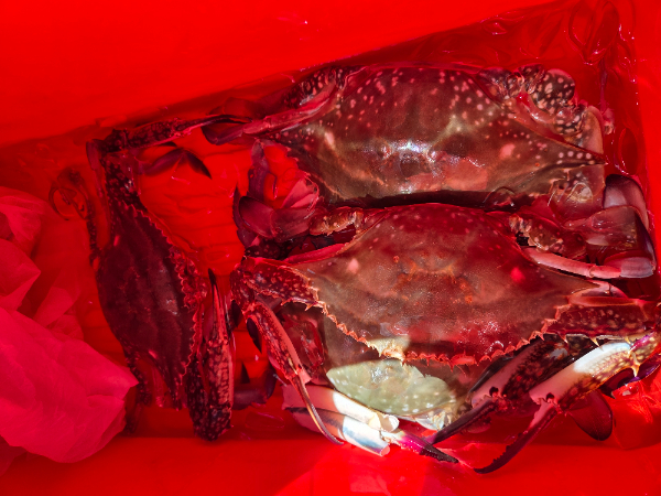 1000021302.jpg