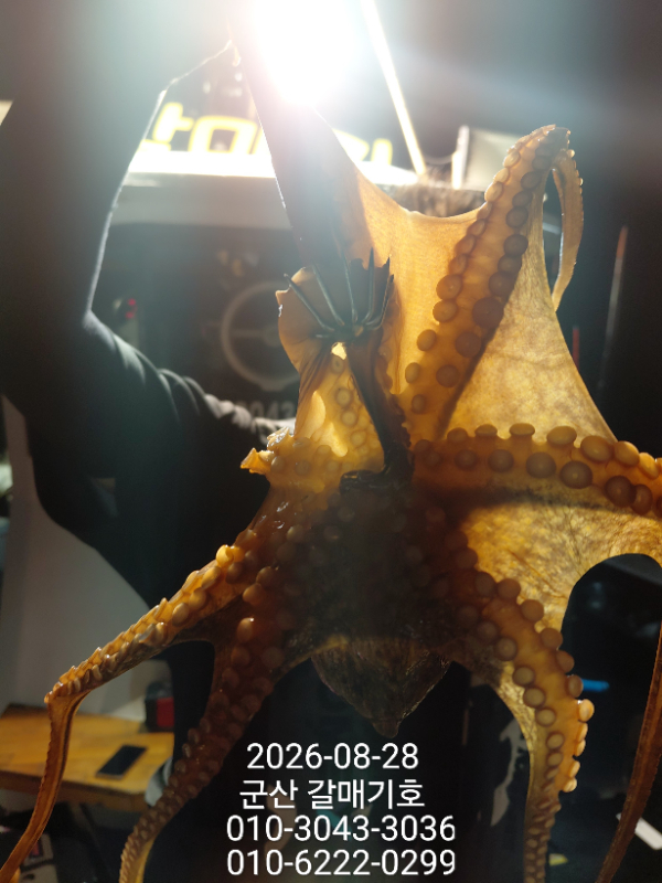 6940.jpg