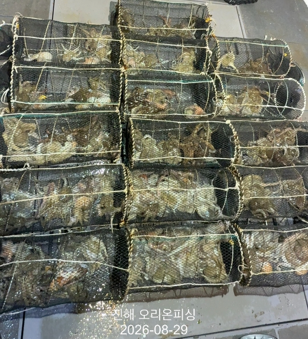 KakaoTalk_20260829_033032375_17.jpg