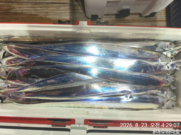 KakaoTalk_20260823_044416086_16.jpg