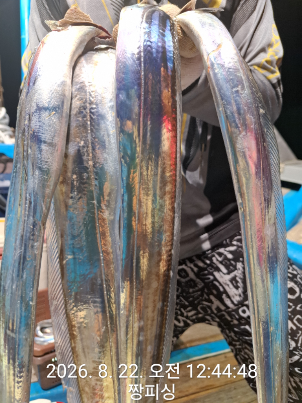 1000082254.jpg