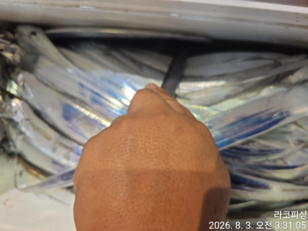 1000388144.jpg