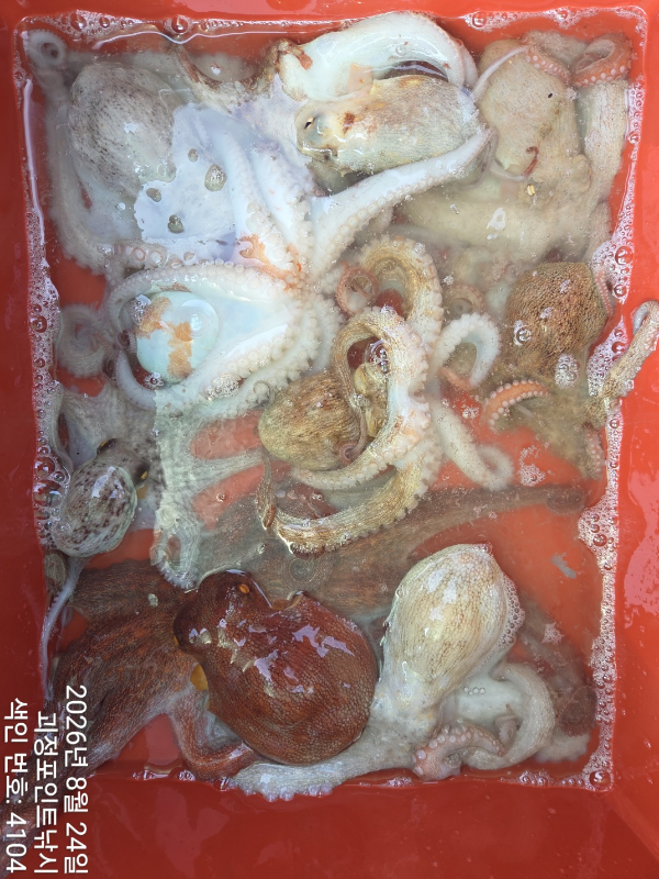 KakaoTalk_20260825_101906677_09.jpg