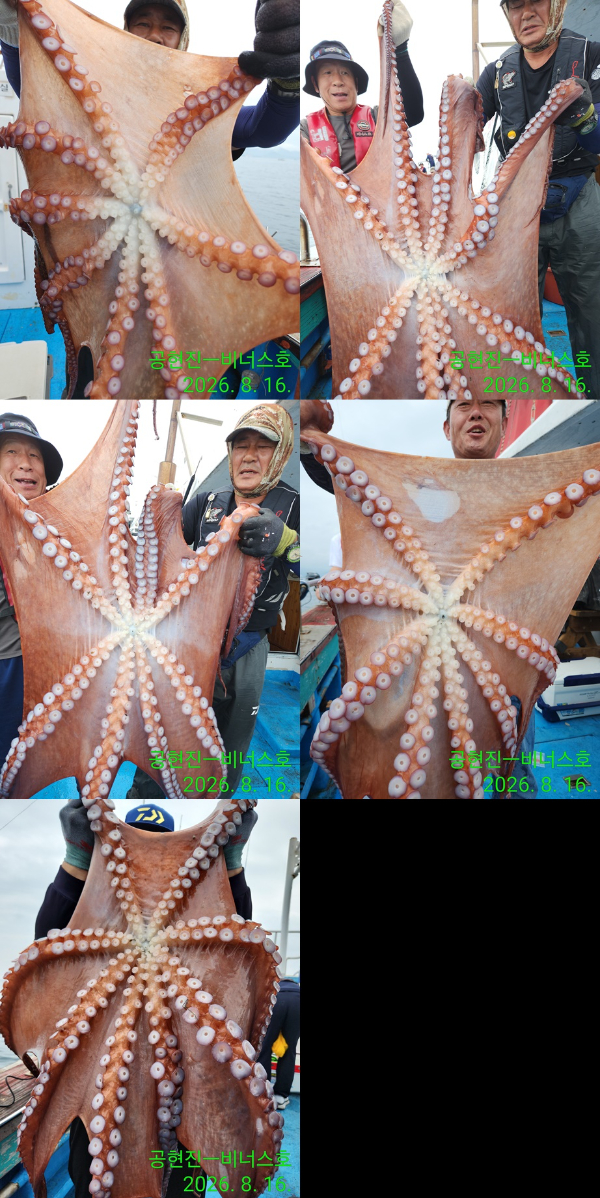 Resized_IMG_20260816_092846~2-tile.jpg