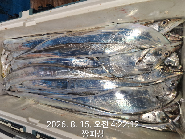1000082004.jpg
