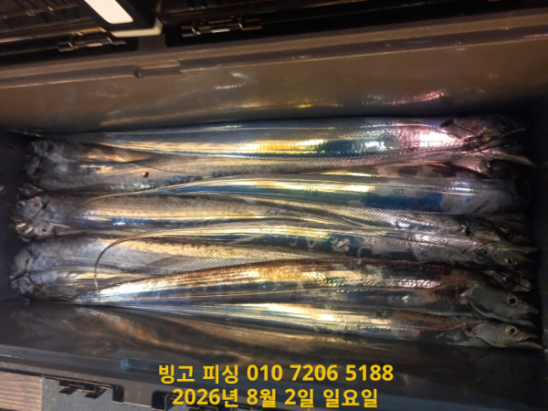 KakaoTalk_20260802_125547631_07.jpg