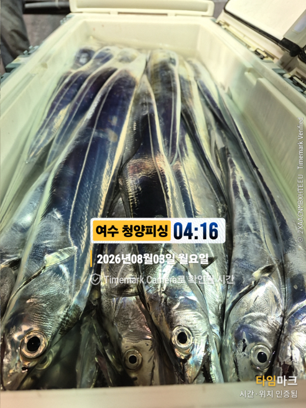 2026-08-03 04.16.54__(제목-여수 청양피싱).jpg