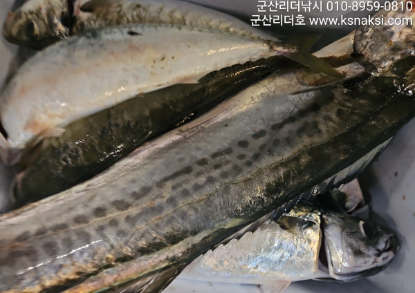 0727날짜없.jpg