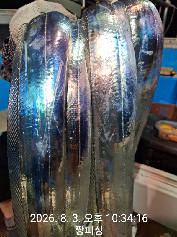1000081362.jpg
