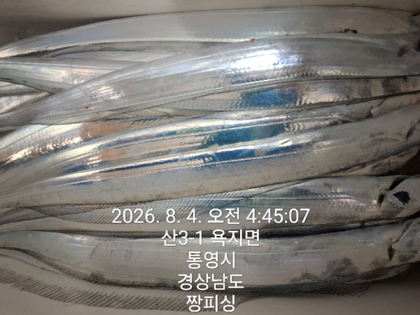 1000081360.jpg