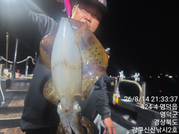 신신낚시 강구점 신신호_사진_20260815_8.jpg