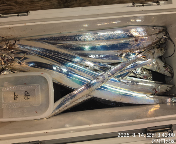 1004피싱_사진_20260814_2.jpg