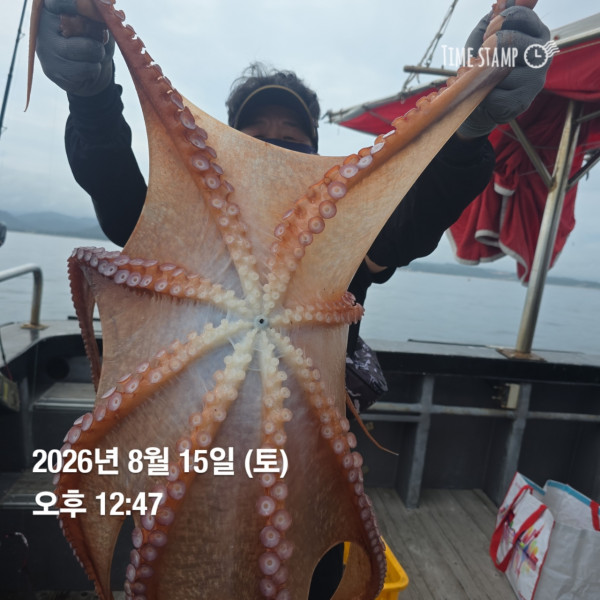 공현진낚시마트(돌핀호)_사진_20260815_14.jpg