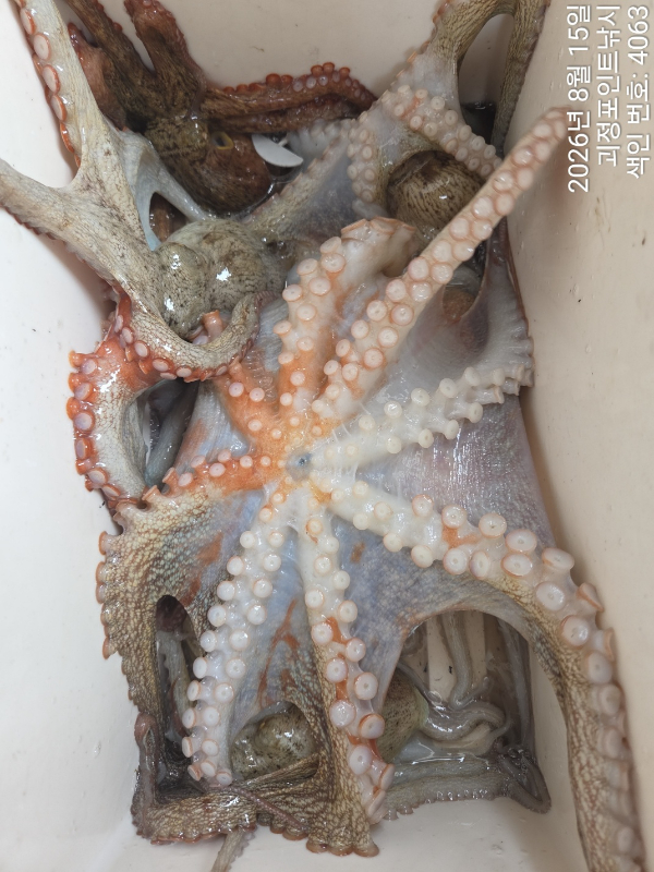 KakaoTalk_20260820_163129866_11.jpg
