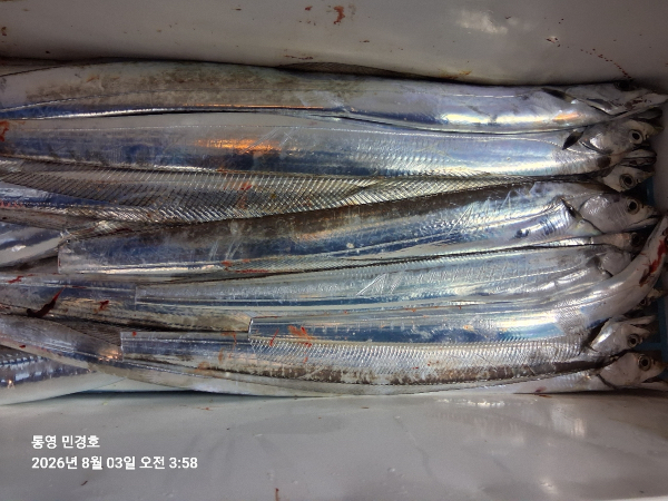 C814082A-582C-482C-A984-73C98ABA2277.jpeg