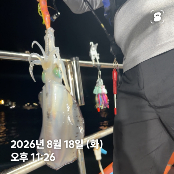 신신낚시 강구점 신신호_사진_20260819_16.jpg