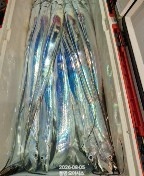 80351.jpg