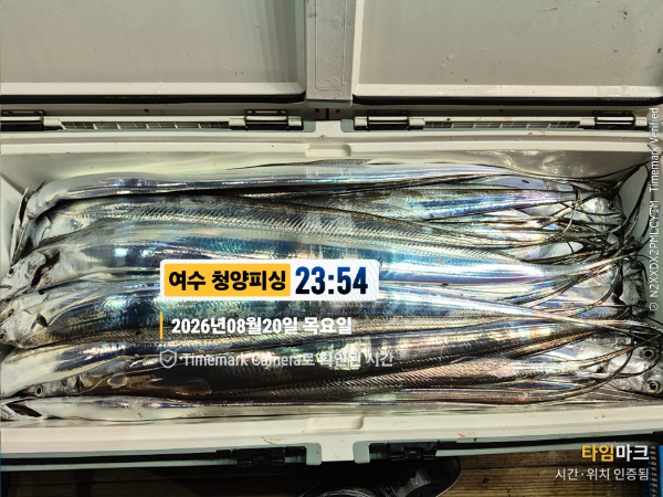 2026-08-20 23.54.45__(제목-여수 청양피싱).jpg